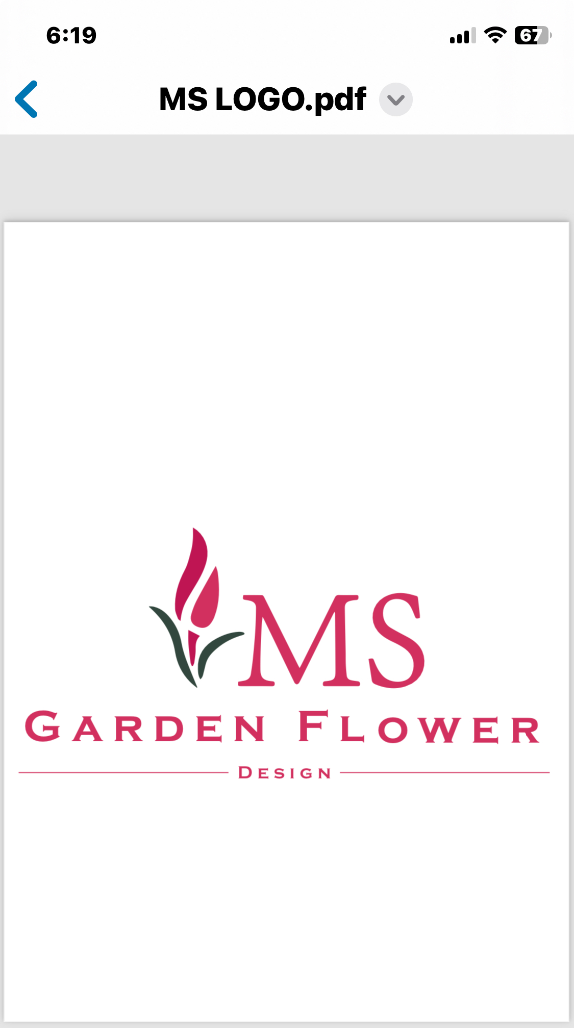 MS Garden flower Design