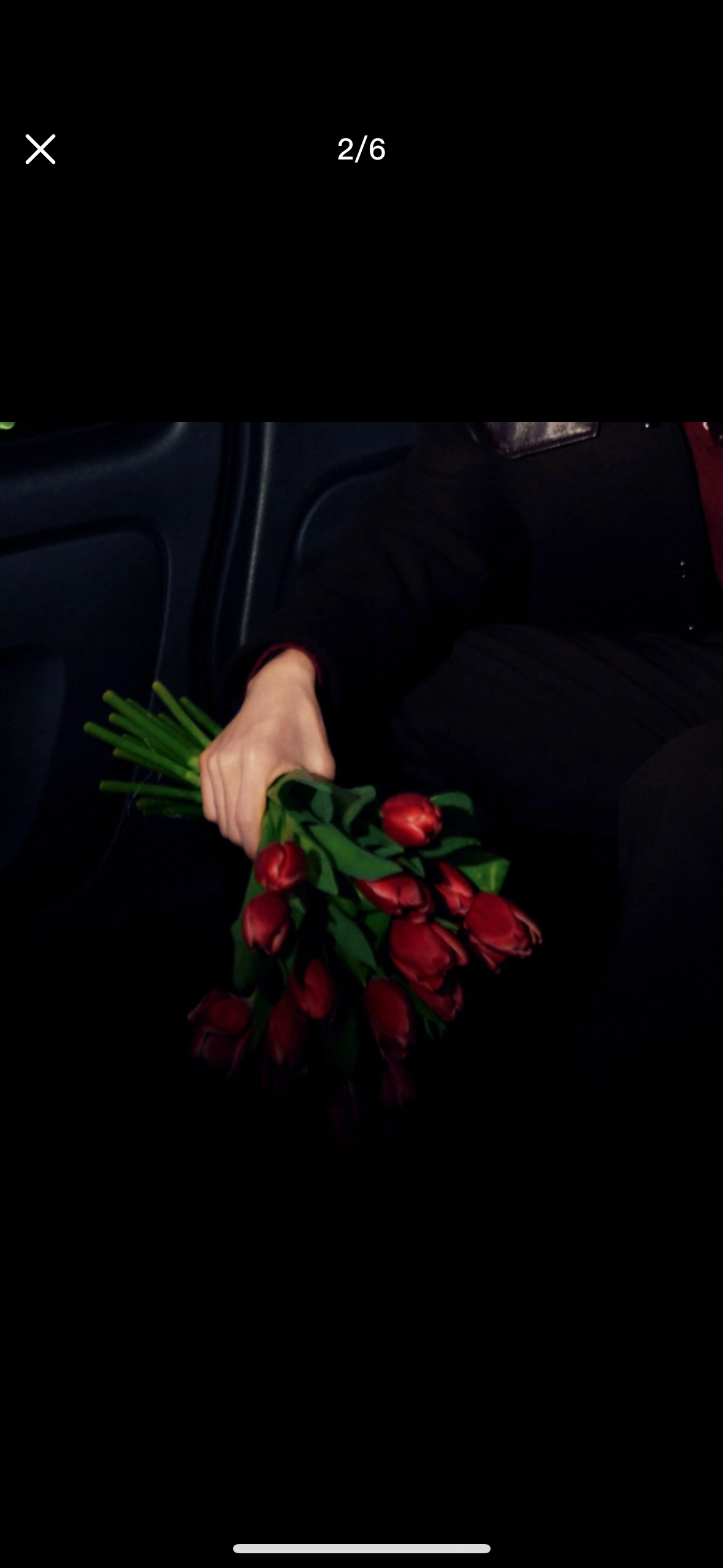 Nian Florals
