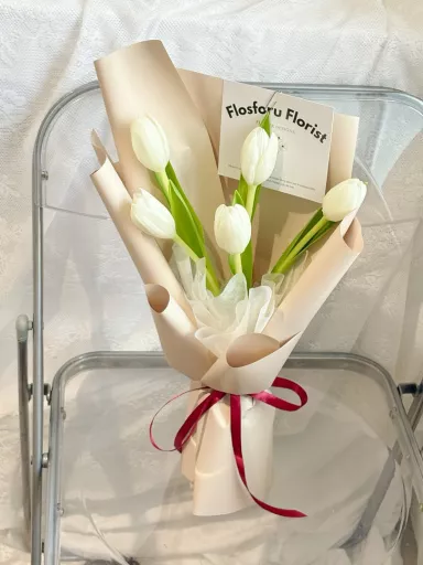 Aureline Tulip