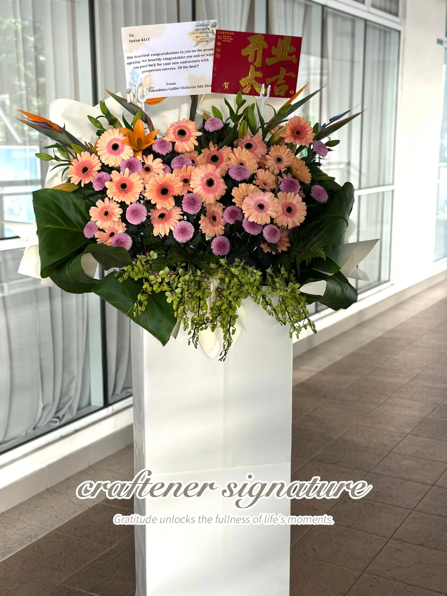 Pink Gerbera Flower Stand (Fresh Flower)