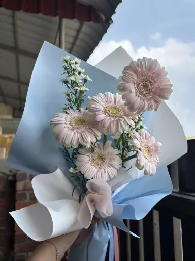 Pink Gerbera Bouquet 粉色弗朗非洲菊花束