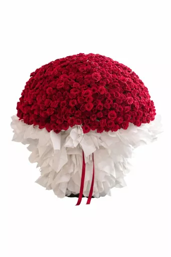 Dôme Rose 999 Collection (Fresh Flower)